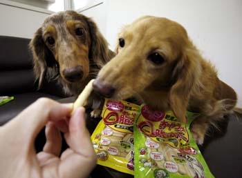 愛犬もメタボ怖い? 低脂肪フード人気
