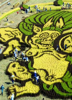 「風神雷神図」の部分を残し稲を刈り取る参加者=24日、青森県田舎館村