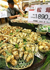 店頭に並ぶカナダ産のマツタケ=午前10時55分、大阪市北区の阪神百貨店