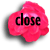 0520closerose.gif