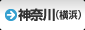 _ސilj